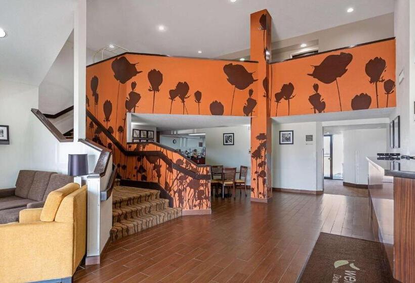 فندق Sleep Inn Dewitt   Lansing North