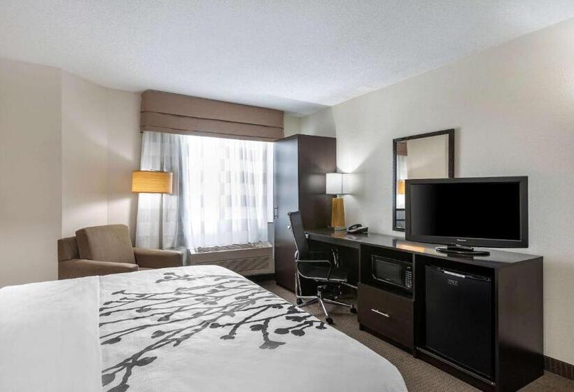 فندق Sleep Inn Dewitt   Lansing North