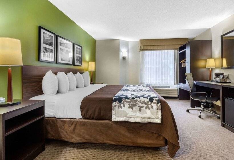 ホテル Sleep Inn Near I 80 And I 94