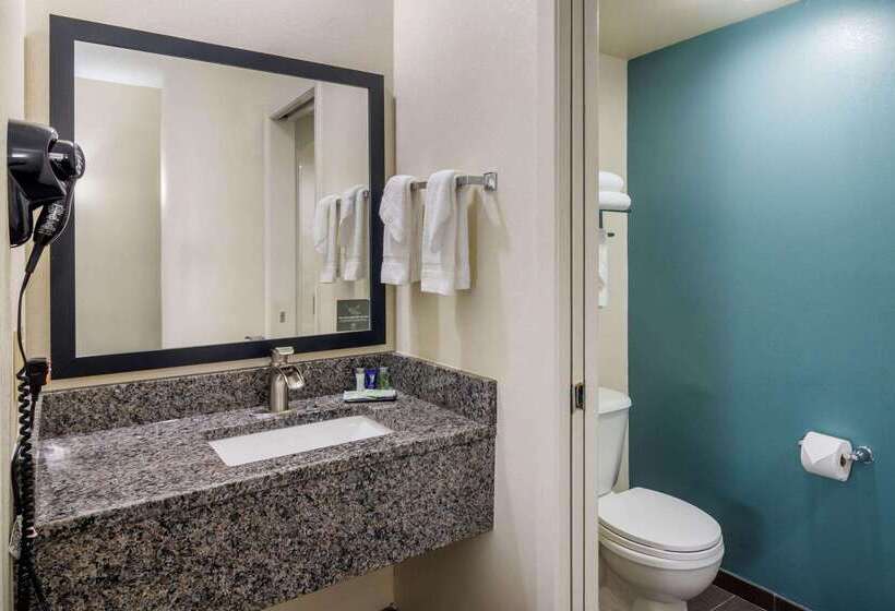 Отель Comfort Inn Marietta Atlanta Near Ballpark Galleria