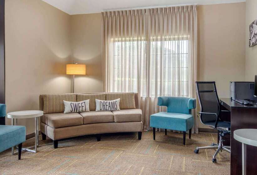 Отель Comfort Inn Marietta Atlanta Near Ballpark Galleria