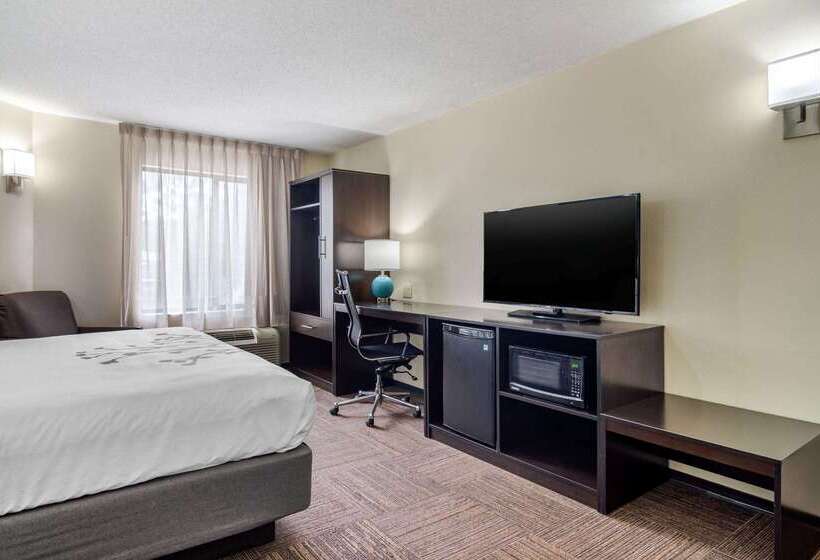 Отель Comfort Inn Marietta Atlanta Near Ballpark Galleria