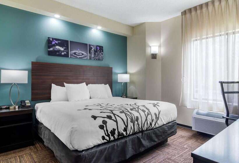 Отель Comfort Inn Marietta Atlanta Near Ballpark Galleria