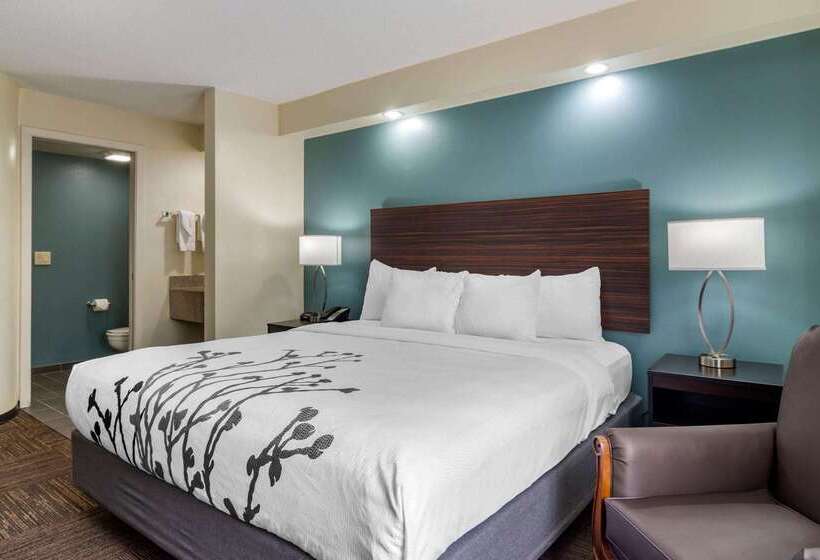 Отель Comfort Inn Marietta Atlanta Near Ballpark Galleria