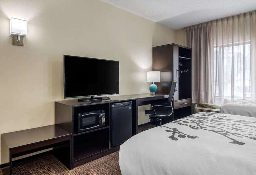 Отель Comfort Inn Marietta Atlanta Near Ballpark Galleria