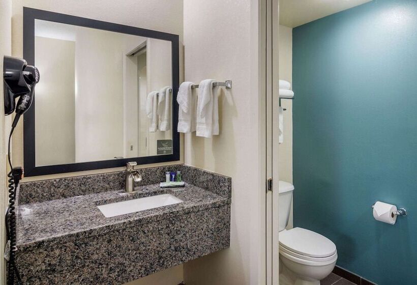 Отель Comfort Inn Marietta Atlanta Near Ballpark Galleria