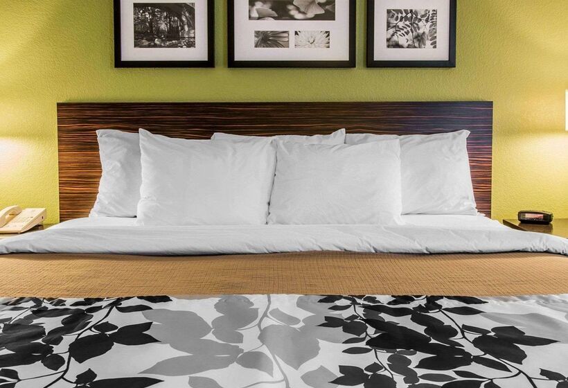 호텔 Sleep Inn