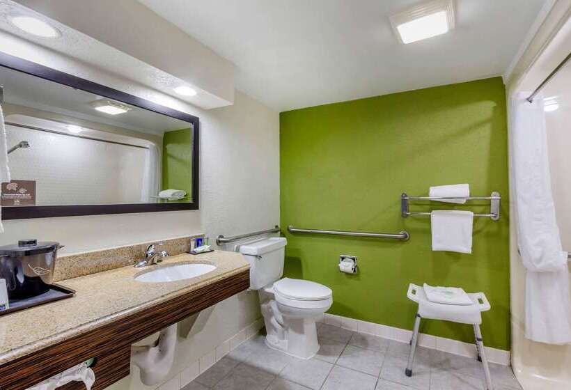 فندق Sleep Inn Near Busch Gardens   Usf