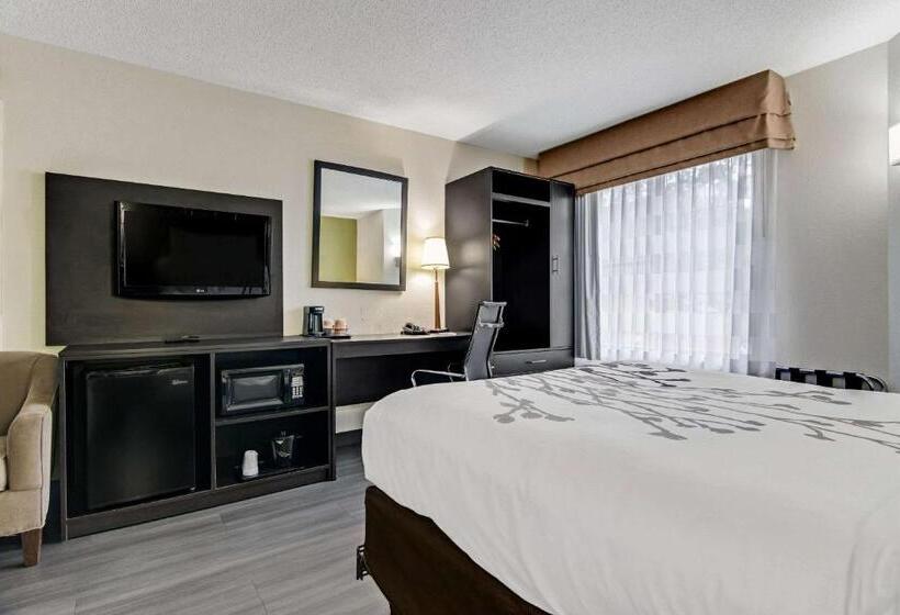 فندق Sleep Inn Near I 80 And I 94