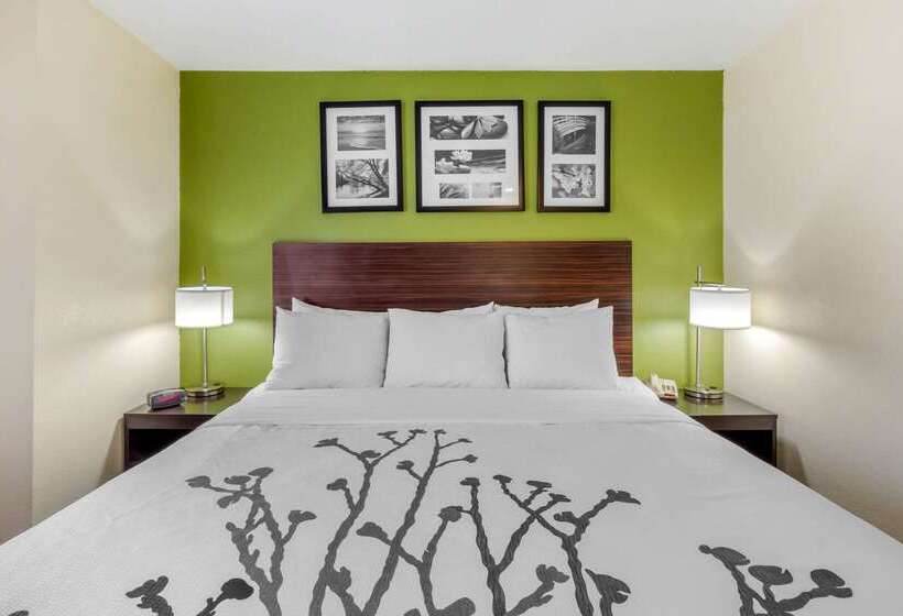 酒店 Sleep Inn Ogden Near Event Center