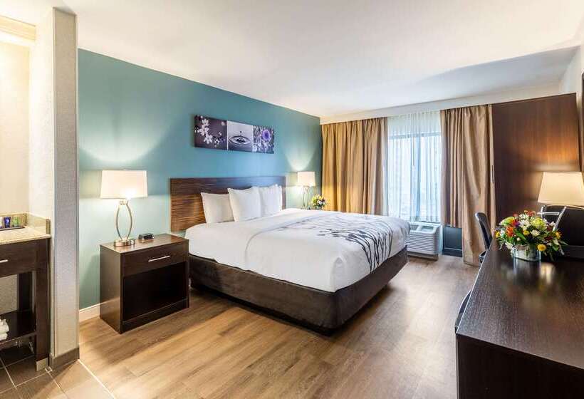 호텔 Sleep Inn On The Beach