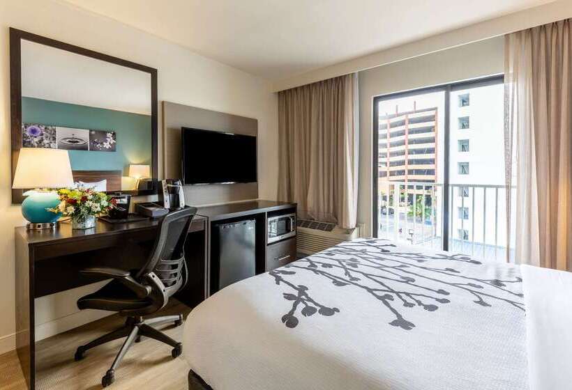 호텔 Sleep Inn On The Beach