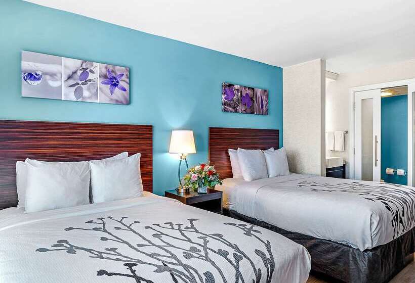 호텔 Sleep Inn On The Beach