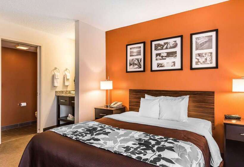 בית מלון כפרי Sleep Inn Springfield South I60 Near Medical District