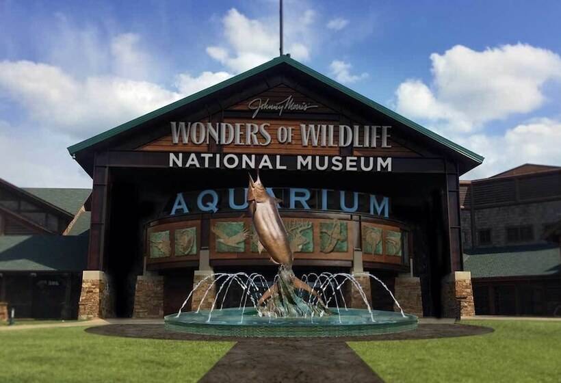 בית מלון כפרי Sleep Inn Springfield South I60 Near Medical District