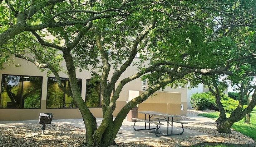 בית מלון כפרי Sleep Inn Springfield South I60 Near Medical District