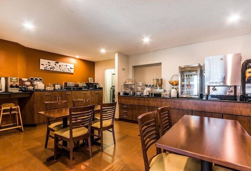 בית מלון כפרי Sleep Inn Springfield South I60 Near Medical District