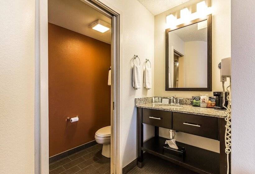 Отель Sleep Inn Springfield South I60 Near Medical District