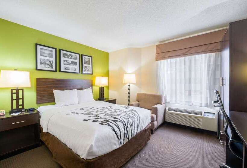 ホテル Sleep Inn Statesville I 40