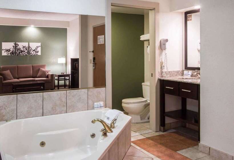 酒店 Sleep Inn & Suites Buffalo Airport