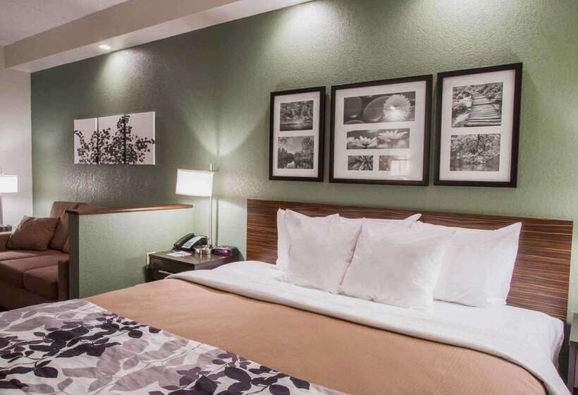 酒店 Sleep Inn & Suites Buffalo Airport