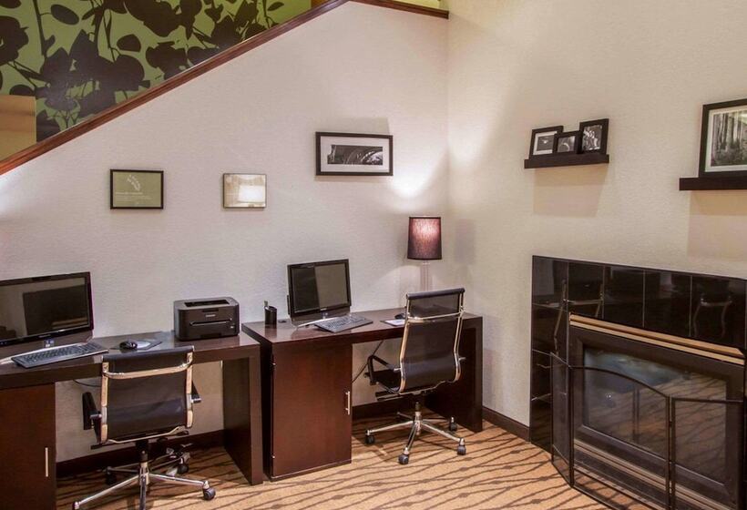 酒店 Sleep Inn & Suites Buffalo Airport