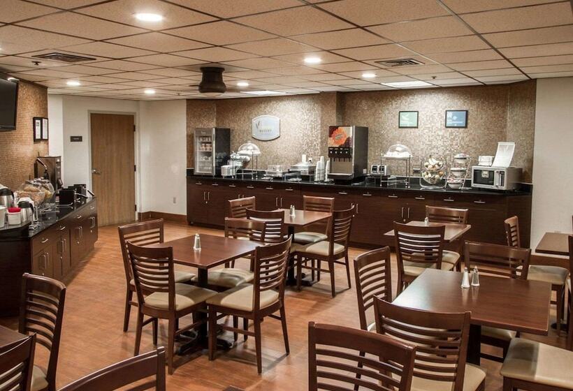 酒店 Sleep Inn & Suites Buffalo Airport