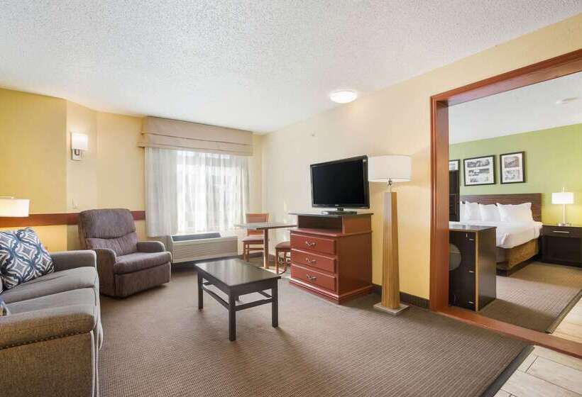 酒店 Sleep Inn & Suites