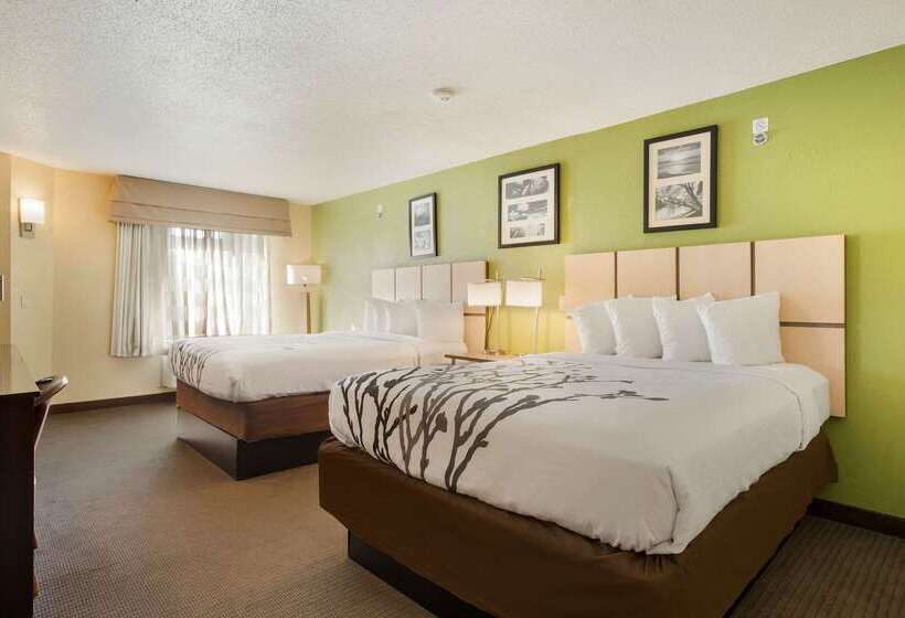 酒店 Sleep Inn & Suites