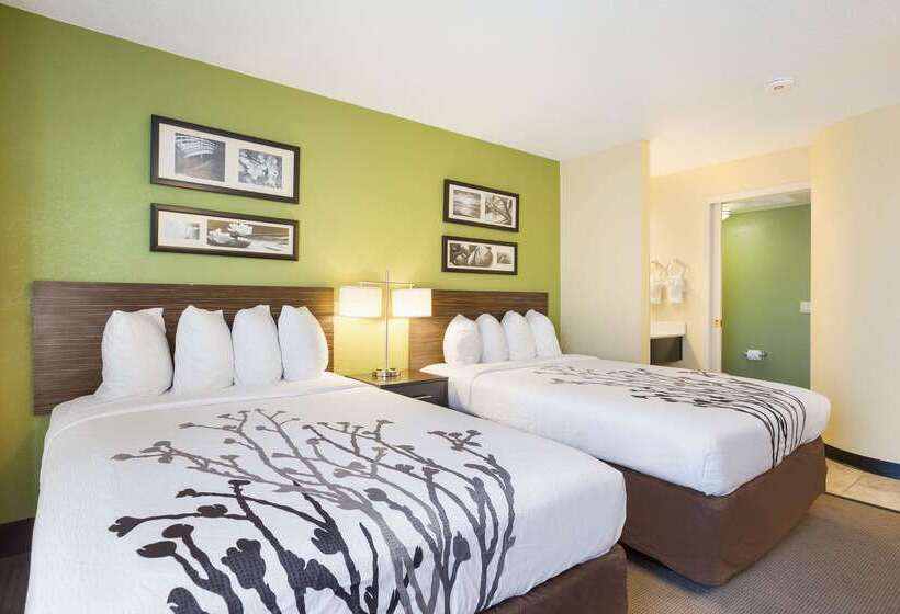 酒店 Sleep Inn & Suites