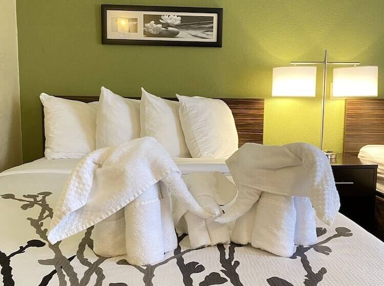 هتل Sleep Inn & Suites