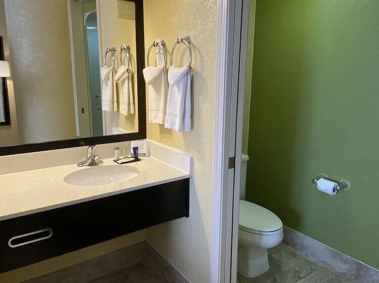 酒店 Sleep Inn & Suites