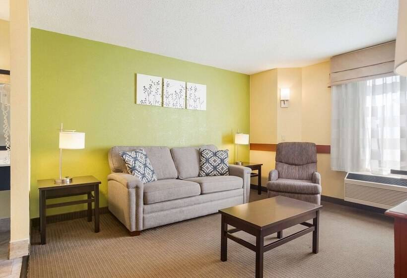 酒店 Sleep Inn & Suites