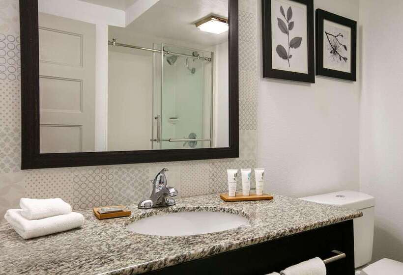 Отель Sleep Inn & Suites Near Halifax Regional Medical Center