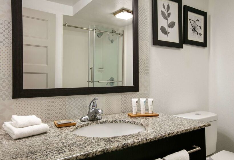 Отель Sleep Inn & Suites Near Halifax Regional Medical Center