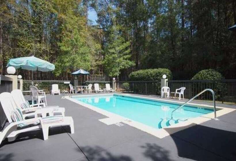 Bob Hotels Tallahassee   Boutique On Budget