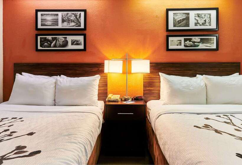 Bob Hotels Tallahassee   Boutique On Budget