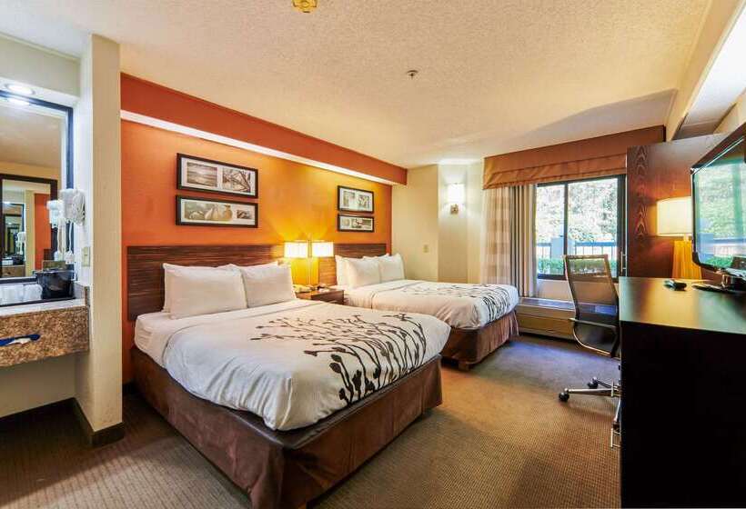 Bob Hotels Tallahassee   Boutique On Budget