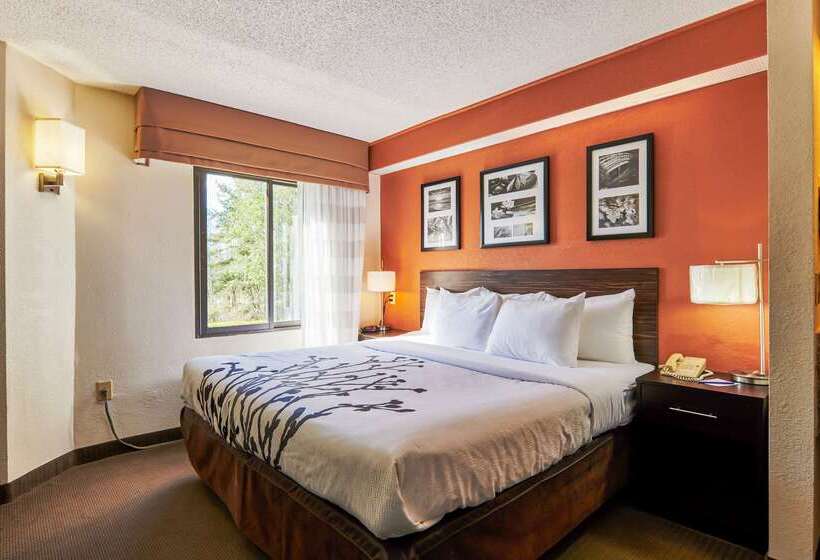 Bob Hotels Tallahassee   Boutique On Budget