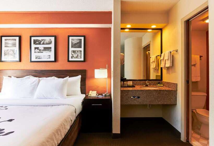 Bob Hotels Tallahassee   Boutique On Budget