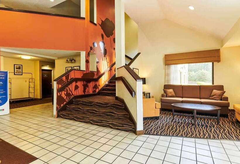 Bob Hotels Tallahassee   Boutique On Budget