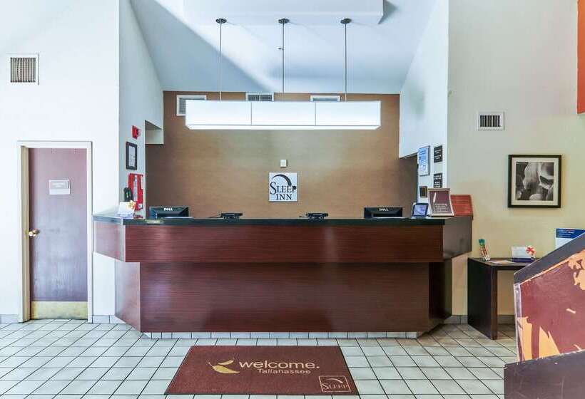 Bob Hotels Tallahassee   Boutique On Budget