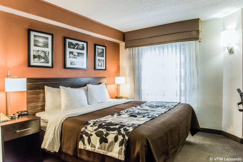 Bob Hotels Tallahassee   Boutique On Budget