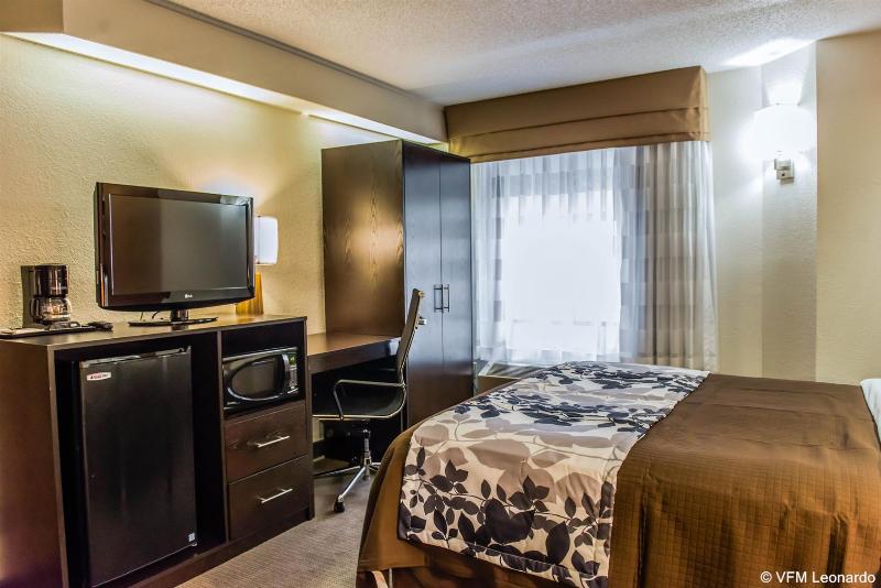 Bob Hotels Tallahassee   Boutique On Budget