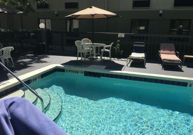 Bob Hotels Tallahassee   Boutique On Budget