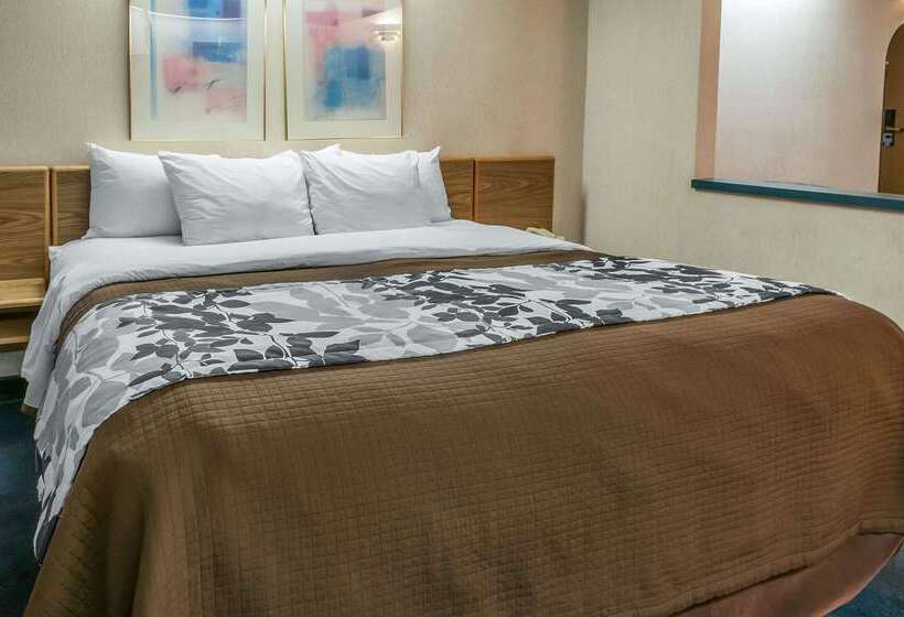 호텔 Sleep Inn University