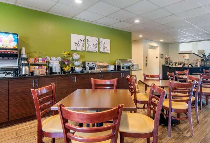 Spot X Hotel Tampa   Wesley Chapel By The Red Collection