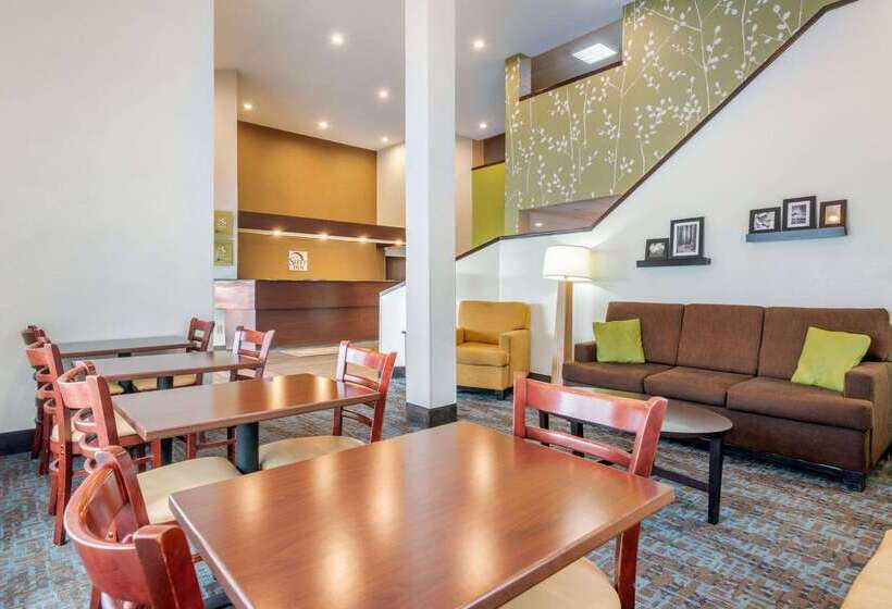 Spot X Hotel Tampa   Wesley Chapel By The Red Collection