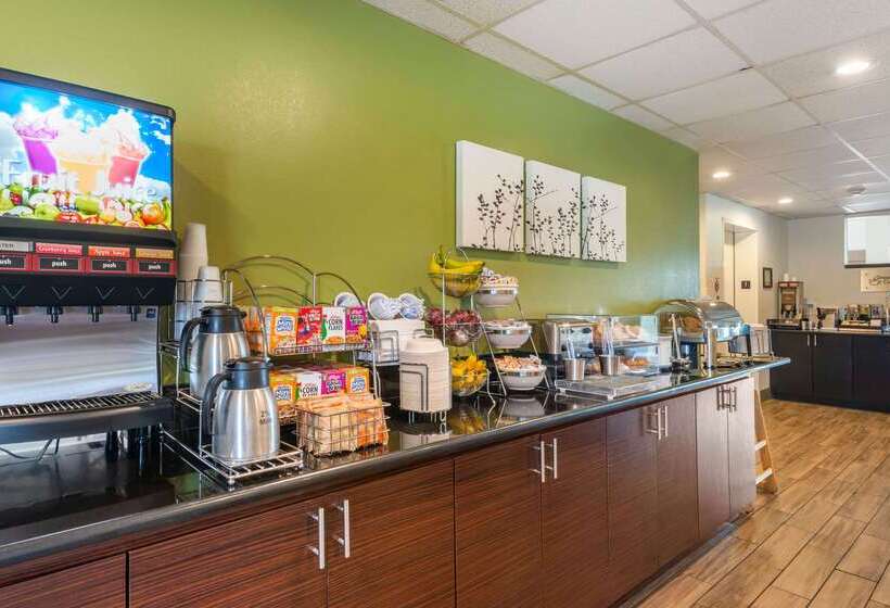 Spot X Hotel Tampa   Wesley Chapel By The Red Collection