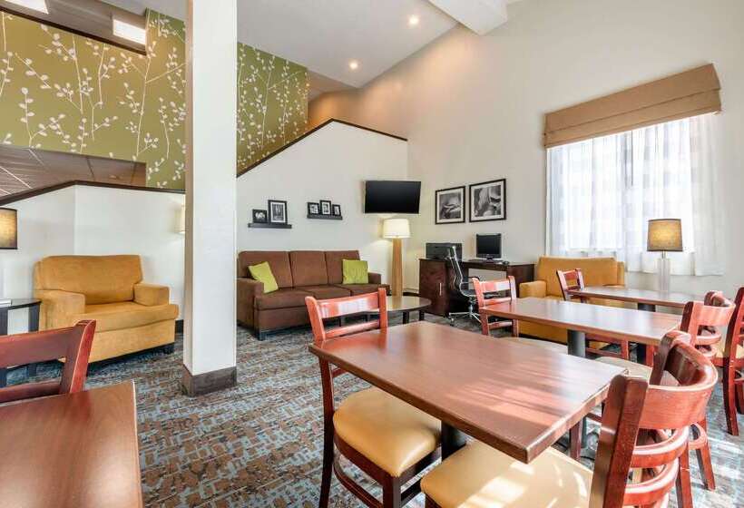 Spot X Hotel Tampa   Wesley Chapel By The Red Collection